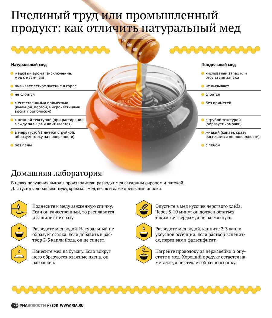 Каштановый мед: польза и вред при приеме