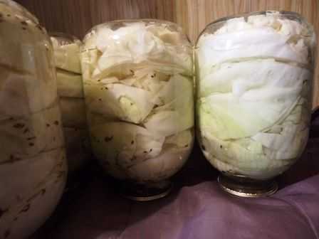 Хрустящая квашеная капуста - 12 классических и вкусных рецептов на зиму