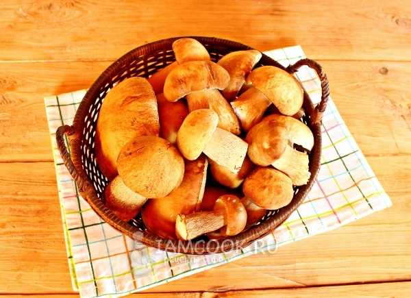 Белые грибы, жаренные с луком: как пожарить, рецепты, калорийность - растения и огород