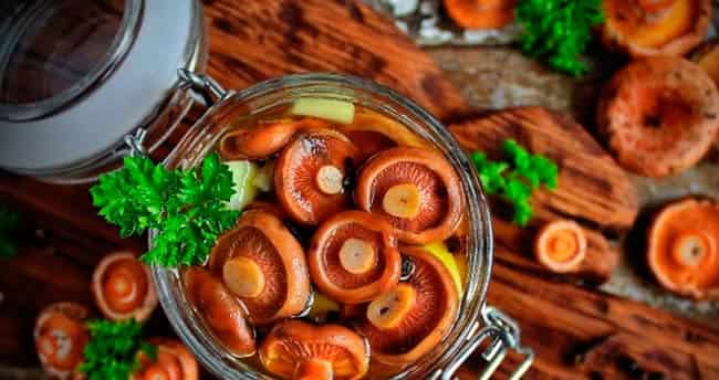 Какие блюда можно приготовить из грибов рыжиков: фото, простые рецепты с пошаговым описанием и видео