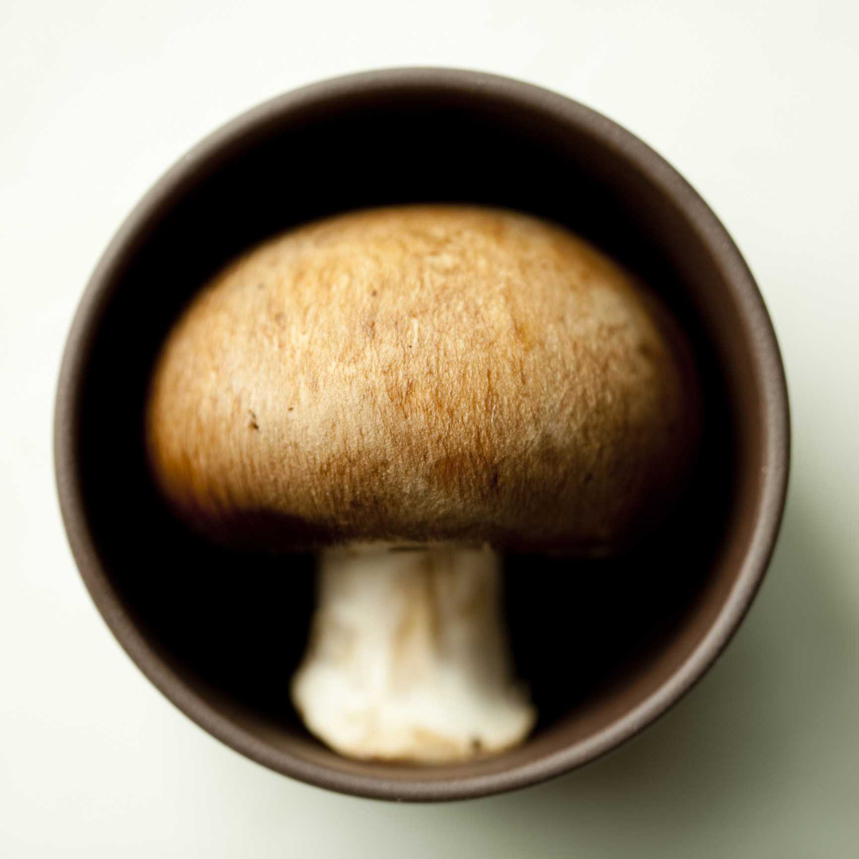 Сколько и как варить грибы рядовки