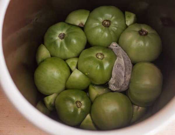 Лучшие рецепты в вашу копилку: как солить зеленые помидоры