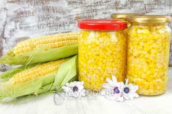 Полезная и вкусная кукуруза — как правильно варить, запекать и замораживать? лечебные свойства растения. фото — ботаничка.ru