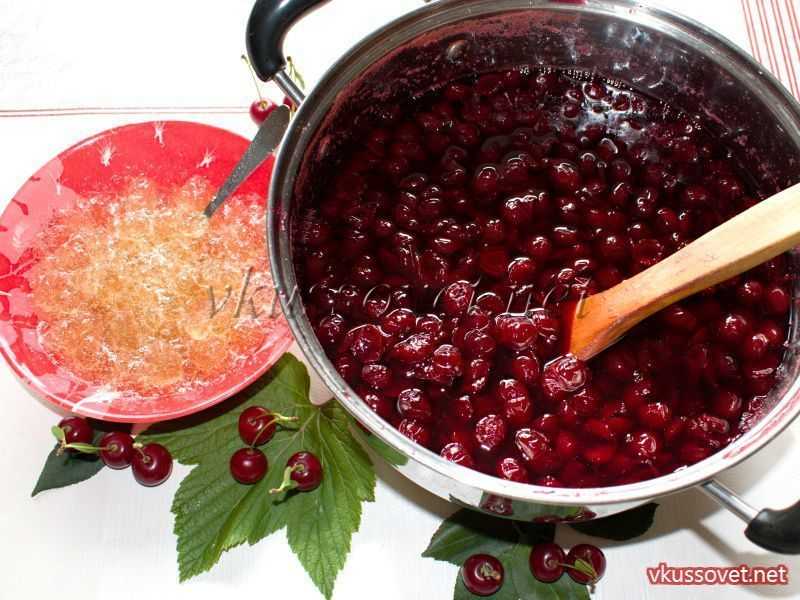 Варенье из вишни с желатином на зиму: рецепты, как сварить желе без косточек