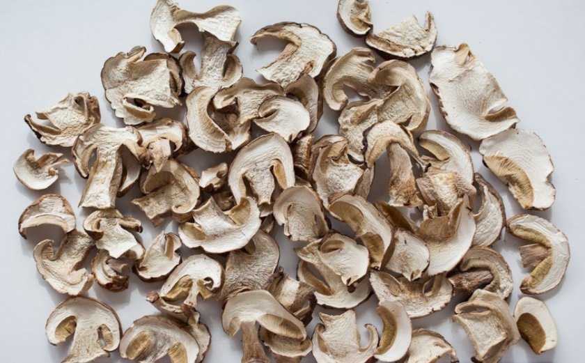 Как сушить белые грибы в домашних условиях: особенности правильной сушки боровиков на зиму