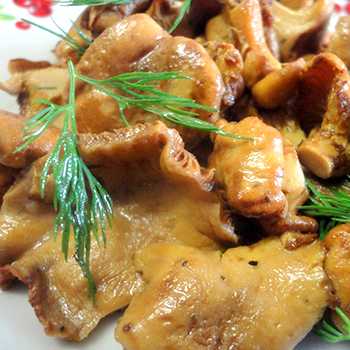 Рецепты с грибами лисичками: приготовление с картошкой на сковороде. как правильно их приготовить