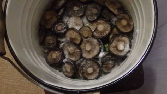 Вымачивание грибов перед засолкой: сколько нужно? - сайт м. вишневского «за грибами»