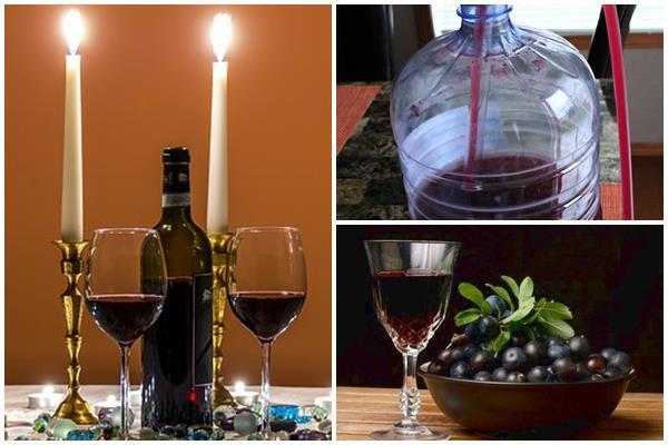 Как приготовить вино из терна в домашних условиях