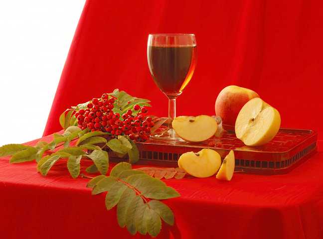 Вино из ранеток: лучшие рецепты приготовления напитка