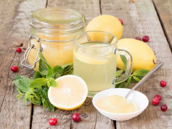 Чай с лимоном и медом: польза, рецепты и правила приема