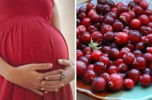 Морсы при беременности (клюквенный, брусничный и другие): польза, рецепты, противопоказания