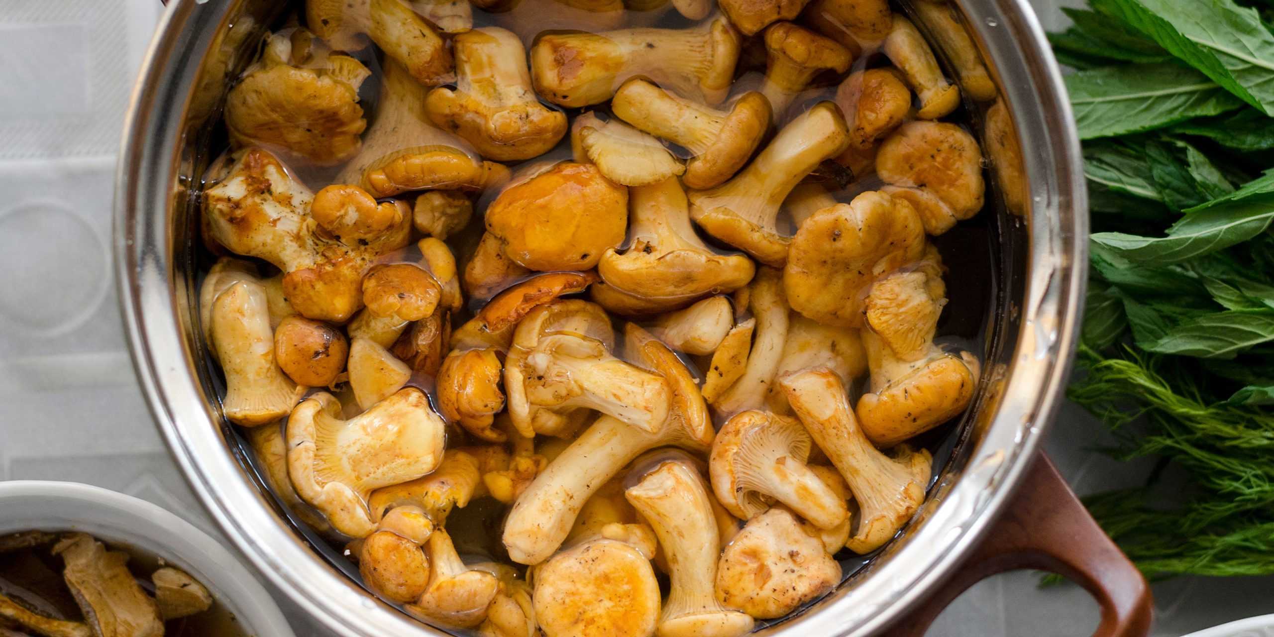 Грибы лисички жареные – как приготовить: лучшие рецепты. как пожарить лисички на сковороде с картошкой, луком, морковью, сметаной, сырые, замороженные, вареные, консервированные: рецепты, секреты приг