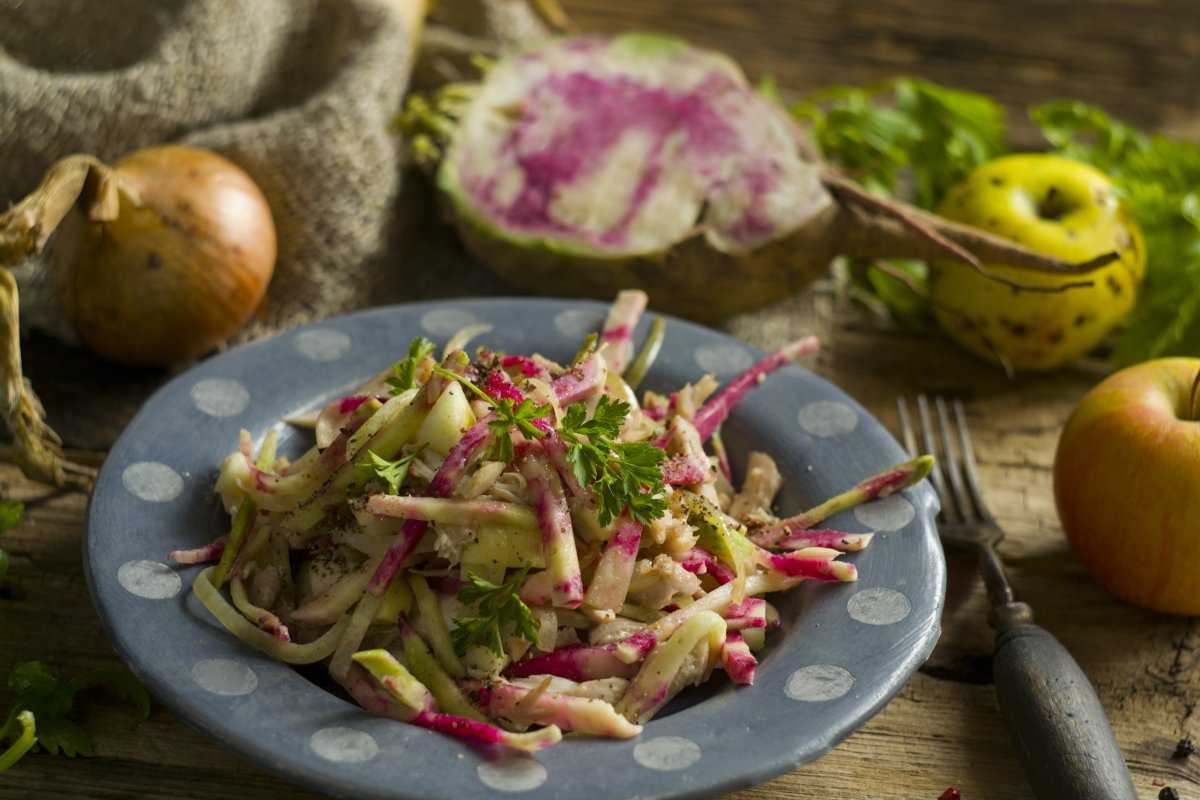 Рецепты салат с редькой и курицей