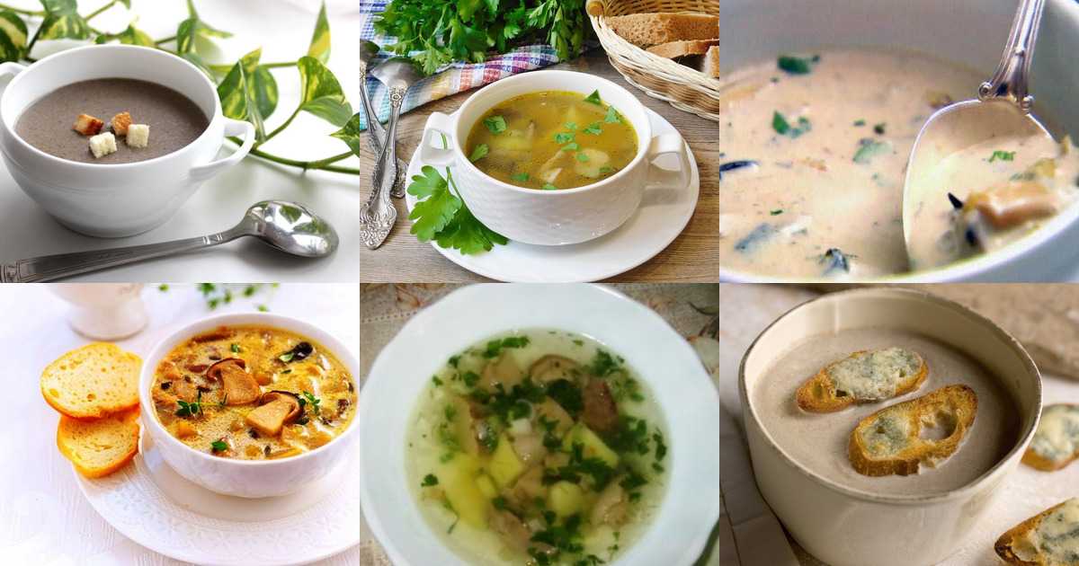 Как готовить суп из маринованных опят. Сколько калорий он содержит. Секреты и основные рецепты приготовления грибного супа с перловкой, томатами, со сливками, с рисом.