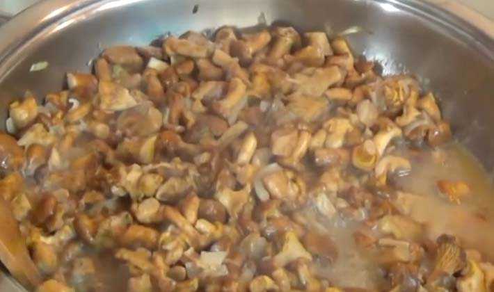 Лисички в сметане — рецепты приготовления с мясом, картошкой и сыром на сковороде или в духовке