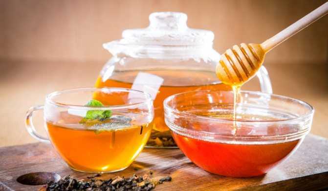 Чай с лимоном и медом: полезные свойства, состав, калорийность. Разные рецепты полезного чая, противопоказания к применению.