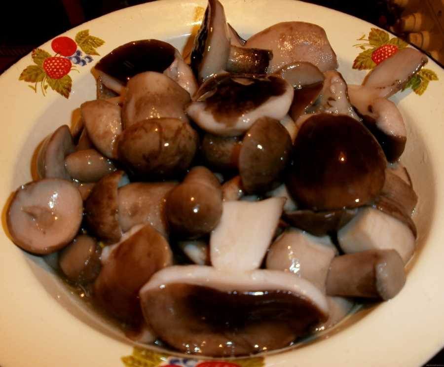Маринованные грибы: особенности маринования и обработки, лучшие рецепты