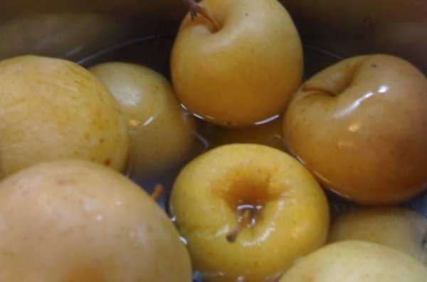 Моченые яблоки в домашних условиях: простые рецепты / заготовочки