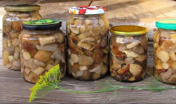 Маринад для грибов - как вкусно приготовить для быстрого маринования или банках на зиму