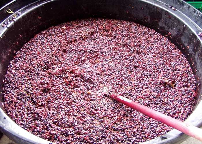 Чача из винограда в домашних условиях простой рецепт пошаговый (фото)