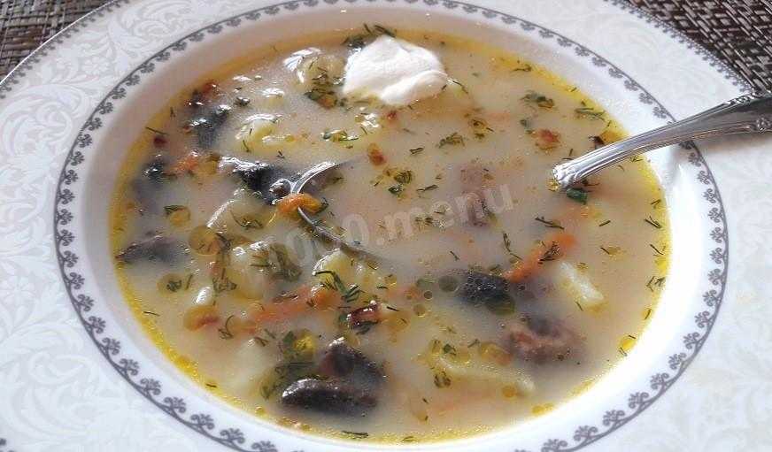 Суп из сушеных грибов – лучший классический рецепт приготовления