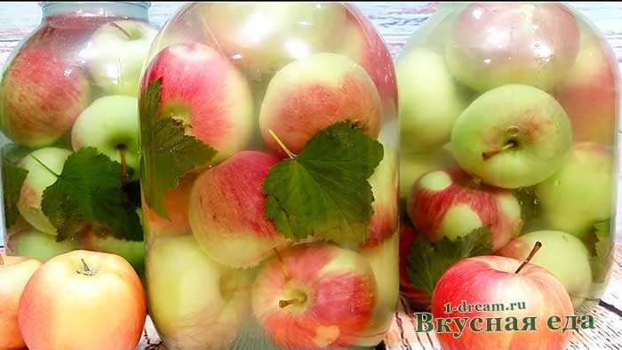 Моченые яблоки в домашних условиях: простые рецепты