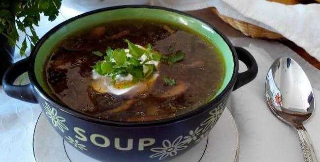 Суп-пюре в мультиварке: ленивым гурманам. рецепты супов-пюре в мультиварке: сырный, куриный, овощной, грибной, печёночный