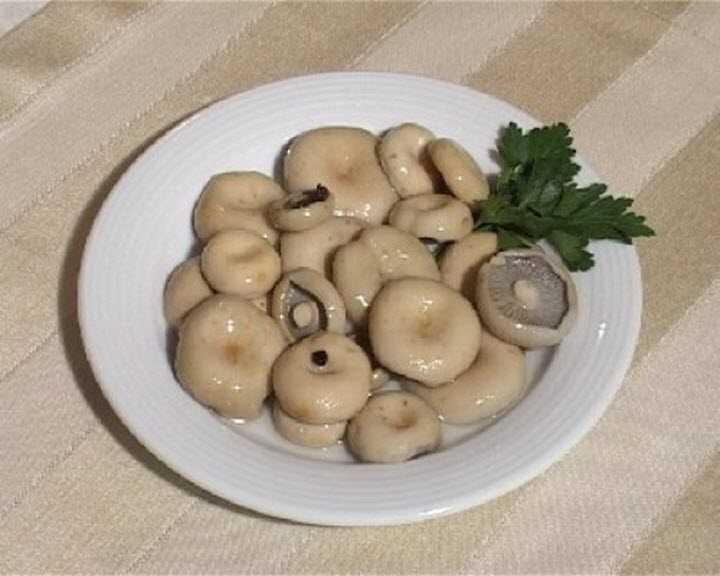 Как солить грибы на зиму в банках простой рецепт, с фото