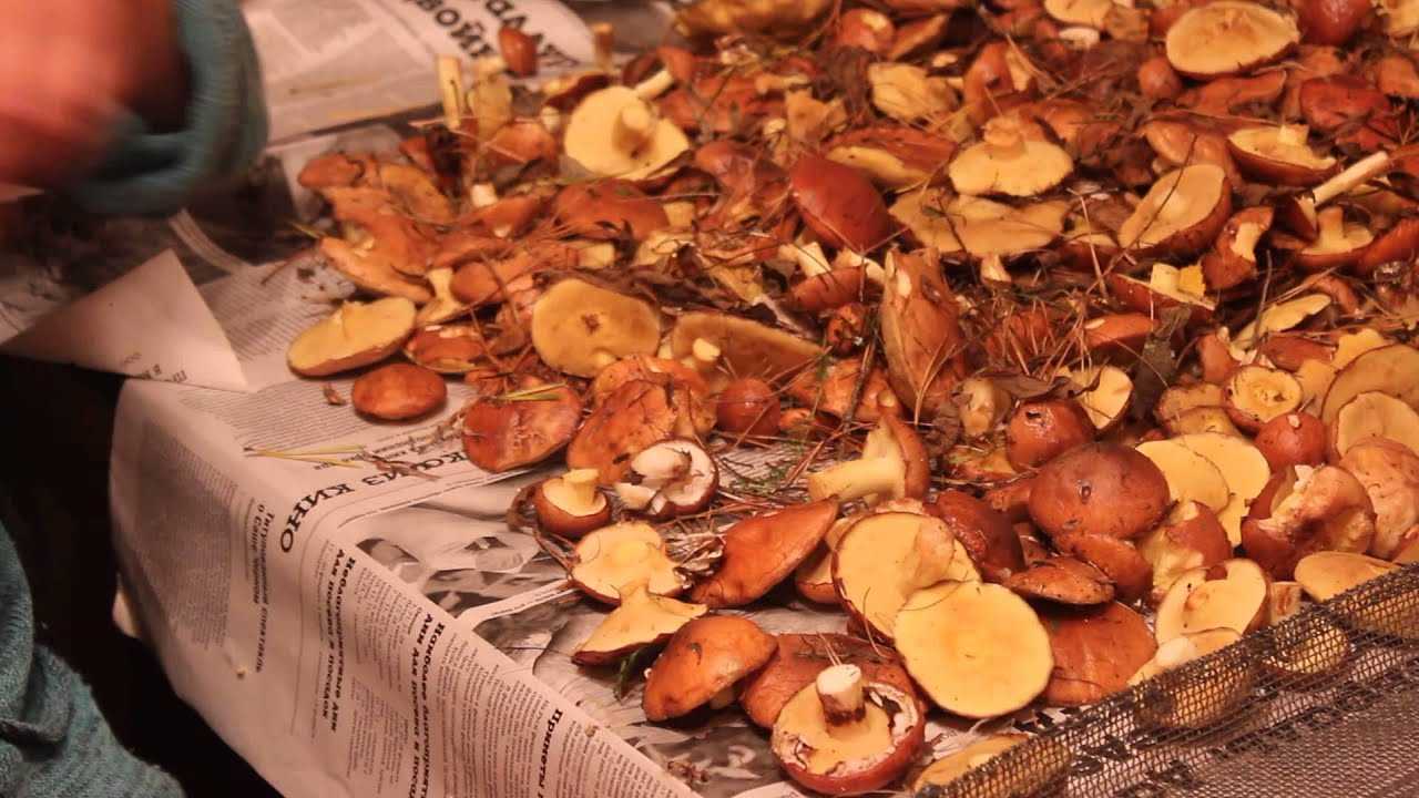 Cколько жарить грибы на сковороде по времени