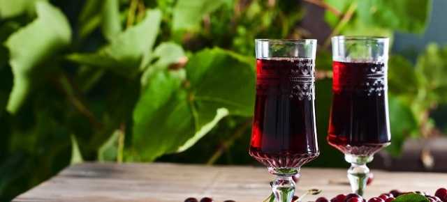 Как сделать вино из ирги. рецепт вина из ирги