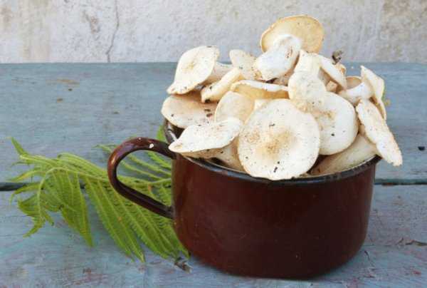 Как мариновать грибы рядовки на зиму: рецепты и советы (+16 фото)