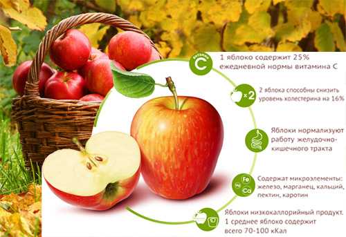 Яблоки польза и вред для человеческого организма - vsadu.ru