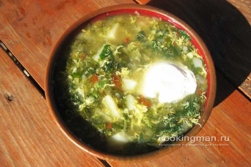Суп из крапивы с яйцом - 6 рецептов, как варить суп из крапивы