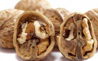 Самогон на перегородках грецкого ореха: рецепт на перепонках в домашних условиях