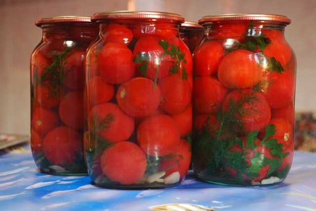 Как сделать соленые помидоры под капроновую крышку. Секреты засолки, традиционный рецепт, помидоры с листьями хрена и смородины. Правила хранения заготовок.
