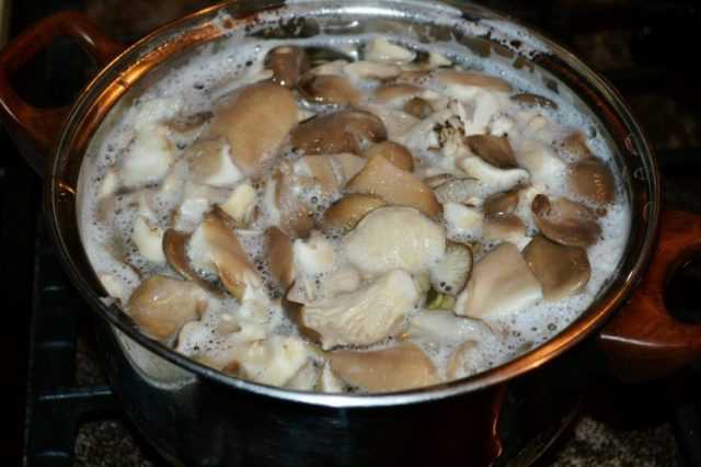 Икра из белых грибов: рецепты приготовления