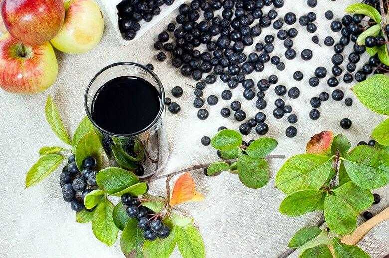 Настойка из черноплодной рябины: 7 рецептов в домашних условиях