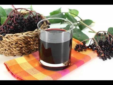 Простые рецепты ликёра из черноплодной рябины и листьев вишни в домашних условиях