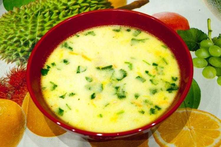 Грибной суп из шампиньонов с плавленным сыром, рецепт с фото — wowcook.net