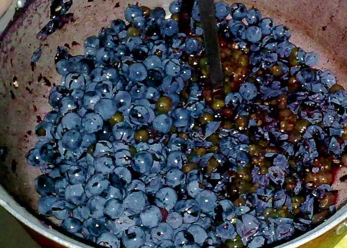 Домашняя чача из винограда – простые рецепты. готовим кристально чистую чачу из винограда в домашних условиях
