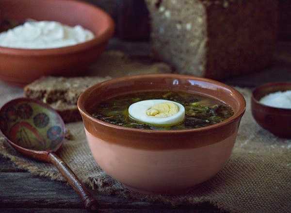 Крапивный суп – простой рецепт с яйцом