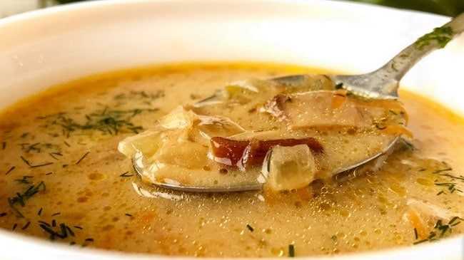 Как сварить суп-пюре из белых грибов: лучшие рецепты