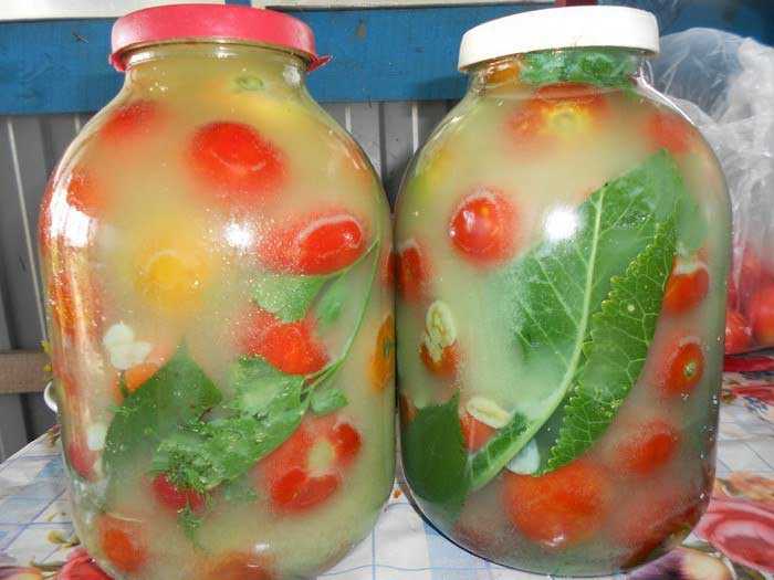 Как приготовить бочковые зеленые помидоры в домашних условиях: лучшие рецепты и советы по приготовлению
