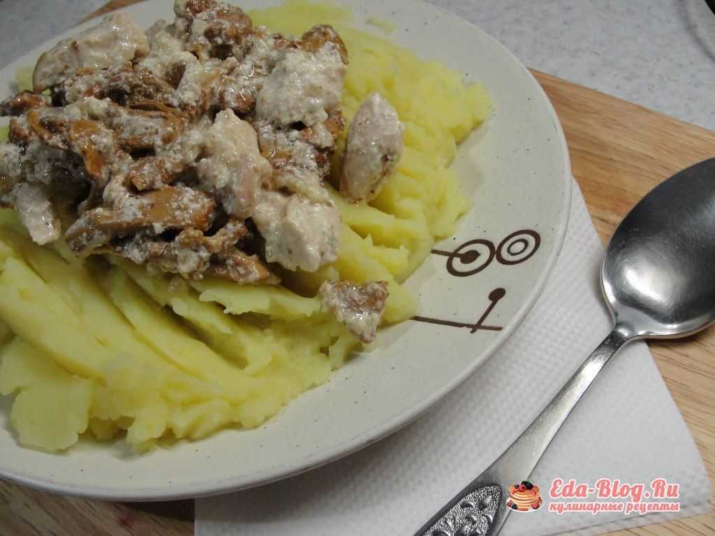Картофель с грибами и курицей в сметане рецепт с фото