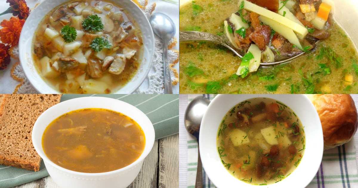 Грибной суп из опят — восхитительное блюдо: рецепт с фото и видео