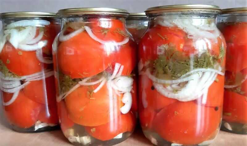 Засолка помидоров на зиму холодным способом: 9 простых рецептов