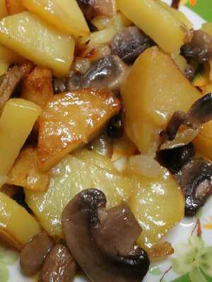 Шампиньоны в сливках: рецепты грибных блюд
