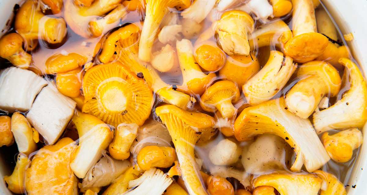 Как приготовить грибы лисички жареные с картошкой, сметаной, луком: пошаговые рецепты