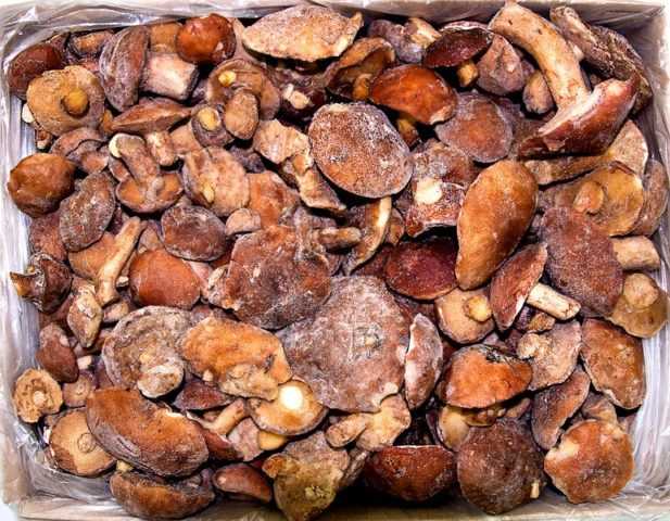 Как правильно и вкусно пожарить грибы маслята (+17 фото)?