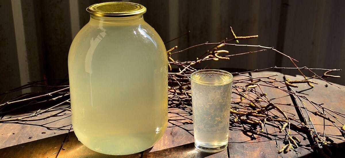 Закатка (консервация) березового сока в домашних условиях: рецепты как закатать с лимоном и апельсином, с лимонной кислотой